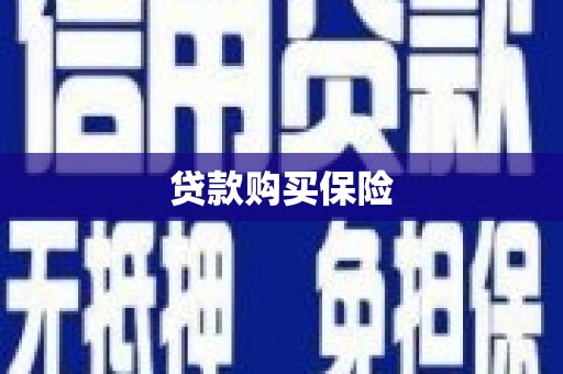 沿河贷款购买保险