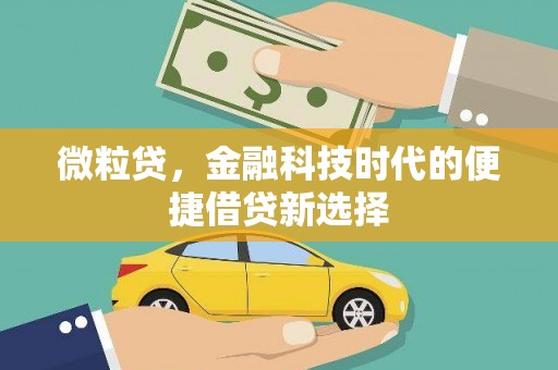 沿河微粒贷，金融科技时代的便捷借贷新选择