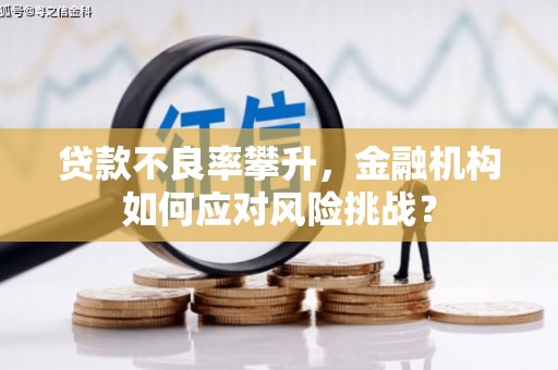 沿河贷款不良率攀升，金融机构如何应对风险挑战？
