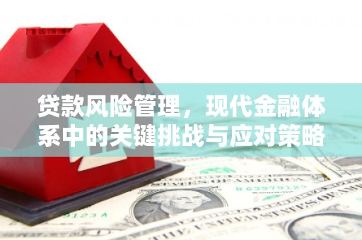 沿河贷款风险管理，现代金融体系中的关键挑战与应对策略