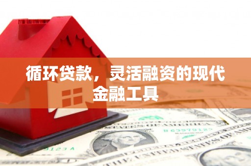 沿河循环贷款，灵活融资的现代金融工具