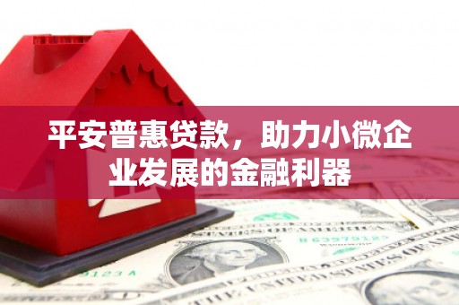 沿河平安普惠贷款，助力小微企业发展的金融利器
