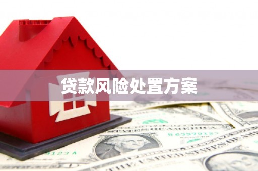 沿河贷款风险处置方案