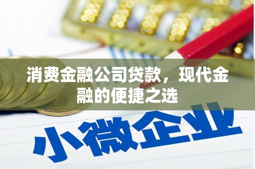 沿河消费金融公司贷款，现代金融的便捷之选