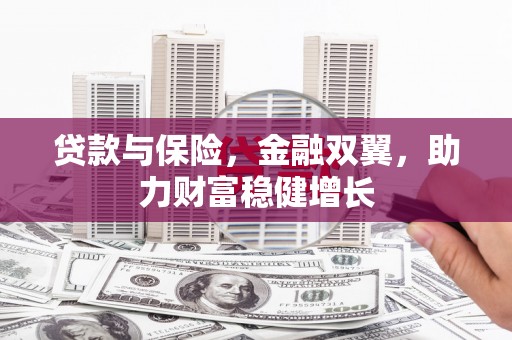 沿河贷款与保险，金融双翼，助力财富稳健增长