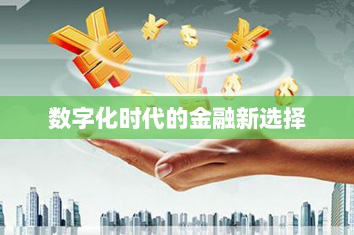 沿河数字化时代的金融新选择