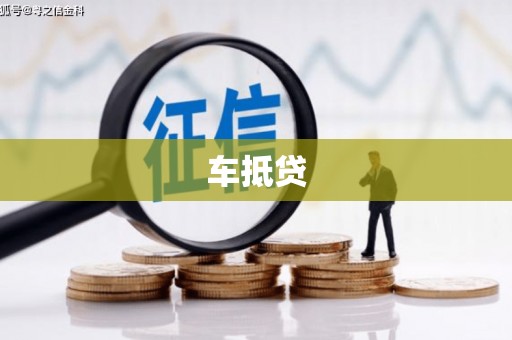 沿河车抵贷