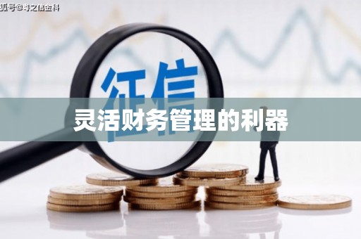 沿河灵活财务管理的利器