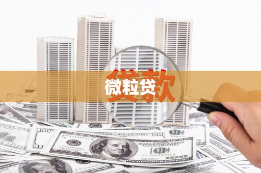 沿河微粒贷