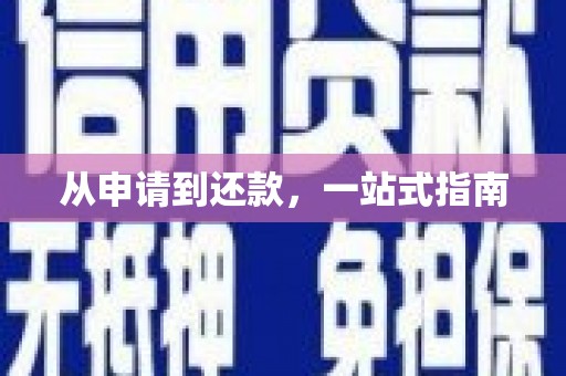 沿河从申请到还款，一站式指南