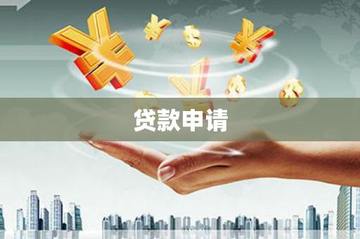 沿河贷款申请
