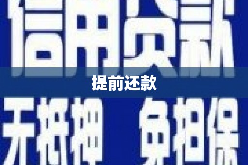 沿河提前还款
