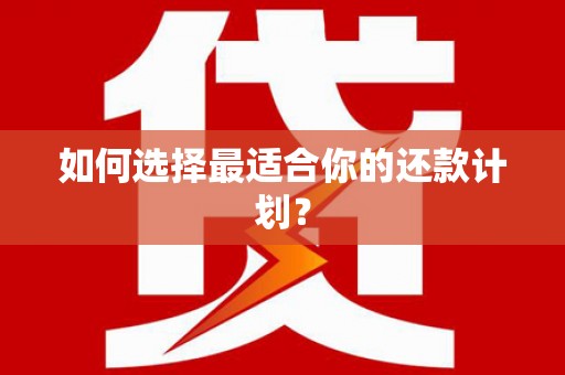 沿河如何选择最适合你的还款计划？