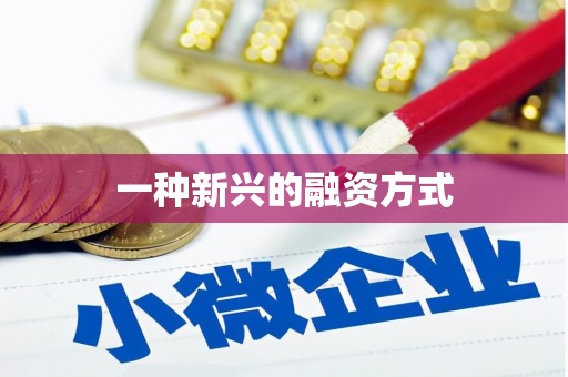 沿河一种新兴的融资方式