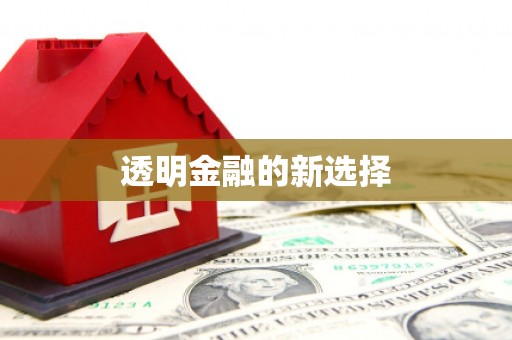 沿河透明金融的新选择