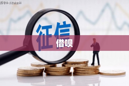 沿河借呗