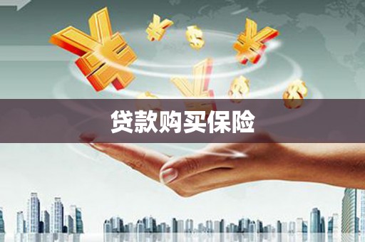 沿河贷款购买保险
