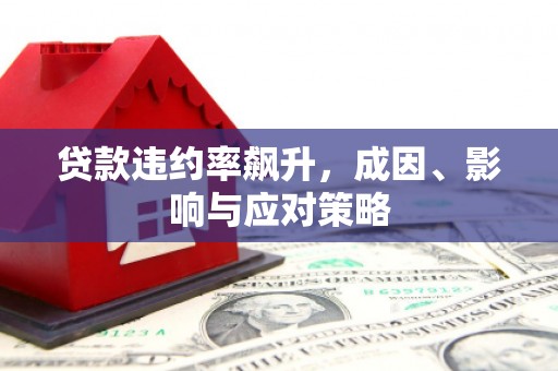 沿河贷款违约率飙升，成因、影响与应对策略